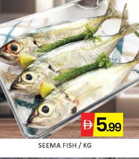 Mango available at Mango Hypermarket LLC in UAE - Dubai