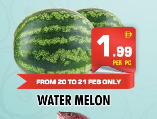 Melon available at نايت تو نايت in الإمارات العربية المتحدة , الامارات - دبي