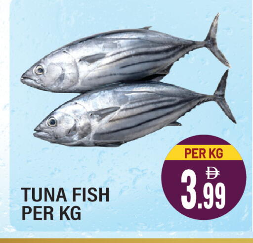 available at Dream Land in UAE - Sharjah / Ajman