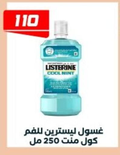 Mint available at Arafa Market in Egypt - Cairo