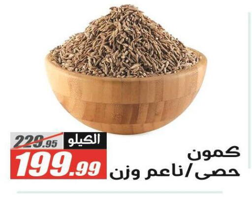available at الفرجاني هايبر ماركت in Egypt - القاهرة