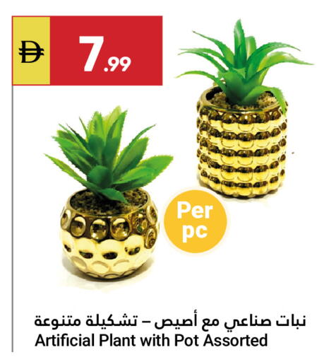 available at Grand Emirates Market in UAE - Abu Dhabi
