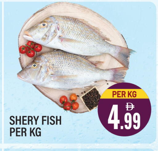 available at Dream Land in UAE - Sharjah / Ajman