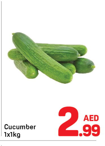 Cucumber available at Day to Day Department Store in UAE - Dubai