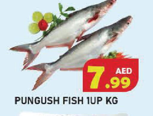 available at سنابل بني ياس in الإمارات العربية المتحدة , الامارات - أم القيوين‎