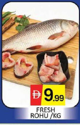 Mango available at Mango Hypermarket LLC in UAE - Dubai