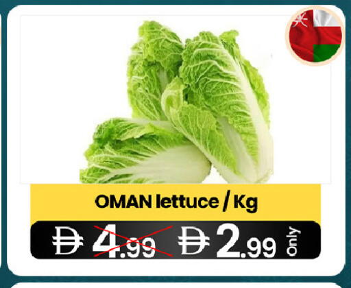 Lettuce from Oman available at  ELITE BASKET SUPERMARKET L.L.C. SP in UAE - Sharjah / Ajman