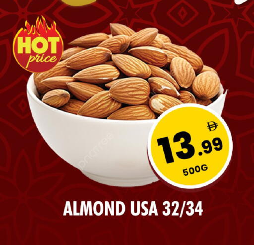 available at نايت تو نايت in الإمارات العربية المتحدة , الامارات - دبي