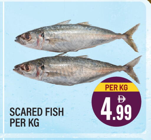 available at Dream Land in UAE - Sharjah / Ajman