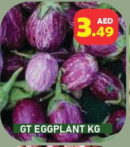Eggplant available at Baniyas Spike  in UAE - Umm al Quwain