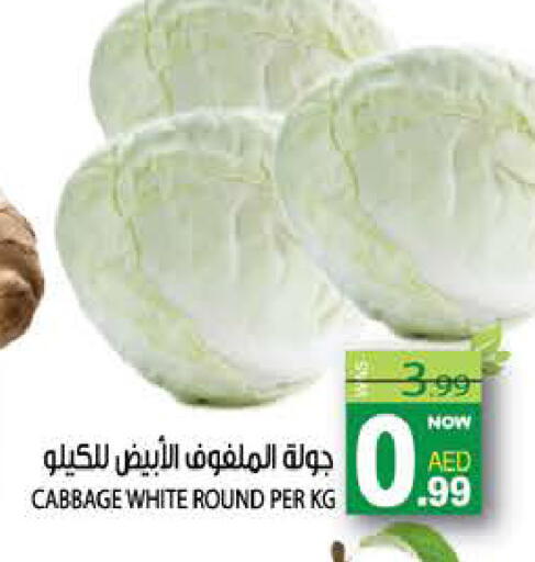 Cabbage available at هاشم هايبرماركت in الإمارات العربية المتحدة , الامارات - الشارقة / عجمان