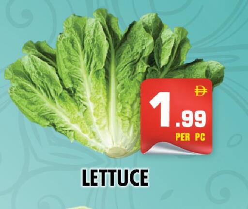 Lettuce available at نايت تو نايت in الإمارات العربية المتحدة , الامارات - دبي