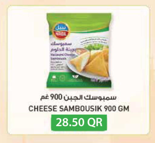 available at مونوبريكس in قطر - الريان