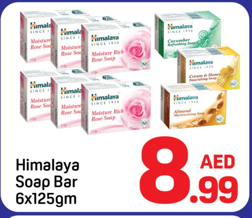 Cucumber available at دي تو دي in الإمارات العربية المتحدة , الامارات - دبي