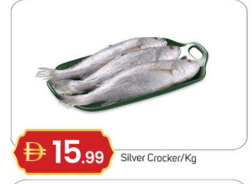 available at سوق طلال in الإمارات العربية المتحدة , الامارات - دبي