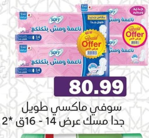available at AlSultan Hypermarket in Egypt - Cairo