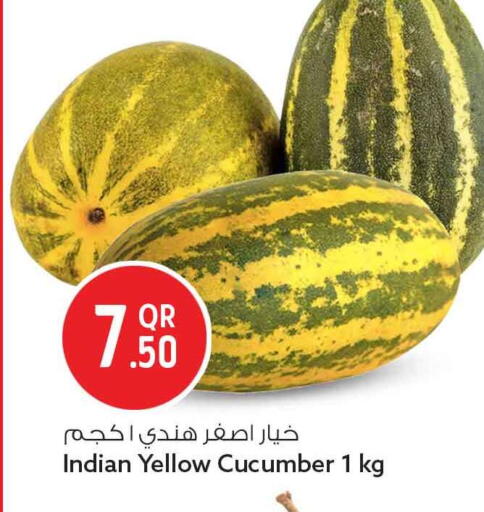Cucumber from India available at Safari Hypermarket in Qatar - Umm Salal