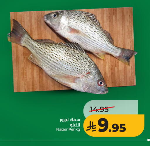 available at لولو هايبرماركت in مملكة العربية السعودية, السعودية, سعودية - جدة