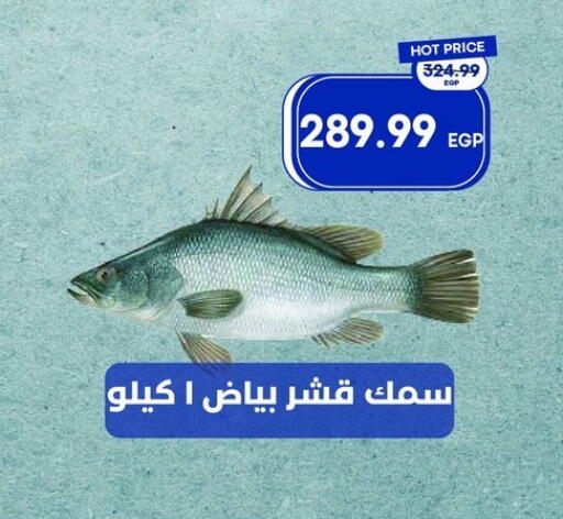 available at Metro Market  in Egypt - Cairo