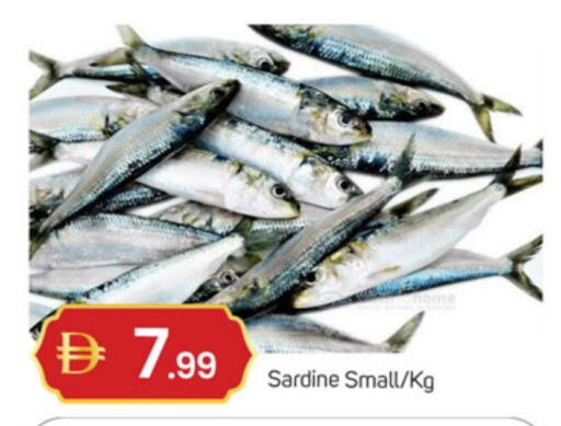 available at سوق طلال in الإمارات العربية المتحدة , الامارات - دبي