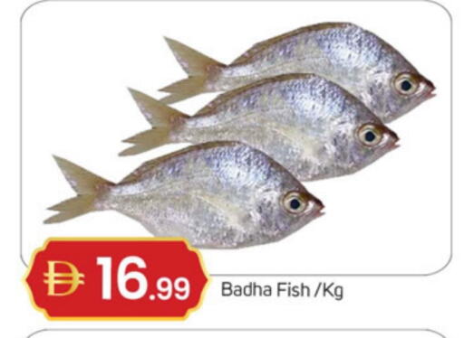 available at سوق طلال in الإمارات العربية المتحدة , الامارات - دبي