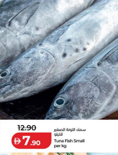 available at لولو هايبرماركت in الإمارات العربية المتحدة , الامارات - أبو ظبي