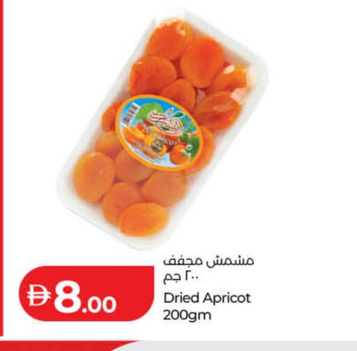 Apricot available at لولو هايبرماركت in الإمارات العربية المتحدة , الامارات - دبي