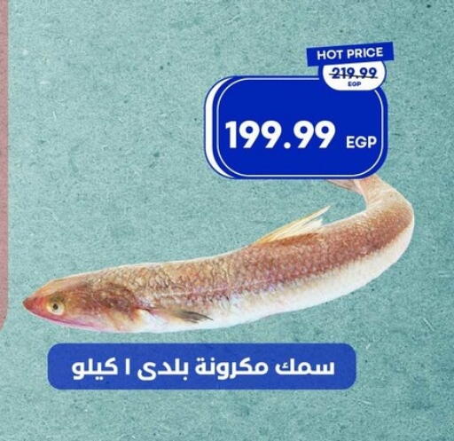 available at مترو ماركت in Egypt - القاهرة