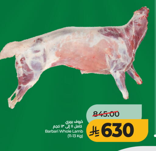 available at LULU Hypermarket in KSA, Saudi Arabia, Saudi - Hail
