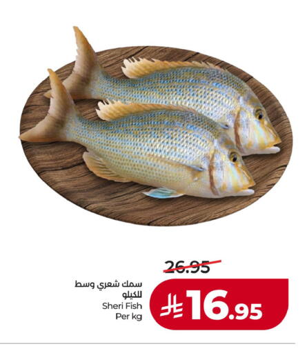 available at LULU Hypermarket in KSA, Saudi Arabia, Saudi - Al Khobar