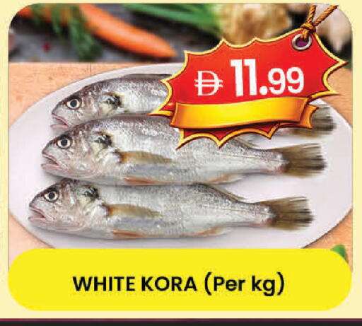 available at K.M Hypermarket in UAE - Al Ain