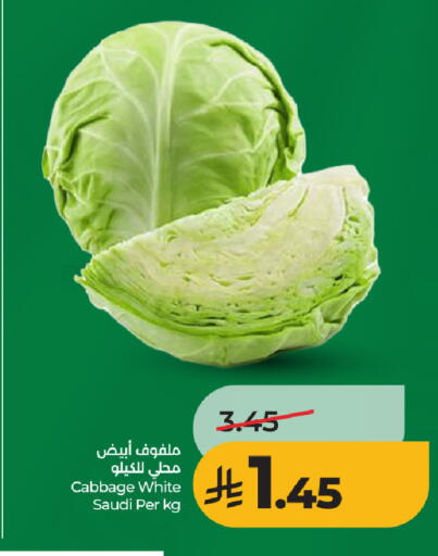 Cabbage from Saudi Arabia available at LULU Hypermarket in KSA, Saudi Arabia, Saudi - Jeddah