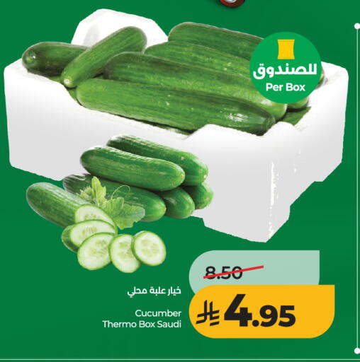 Cucumber from Saudi Arabia available at LULU Hypermarket in KSA, Saudi Arabia, Saudi - Riyadh