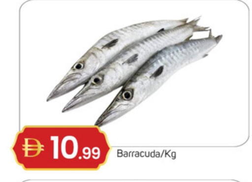 available at سوق طلال in الإمارات العربية المتحدة , الامارات - دبي