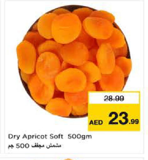Apricot available at نستو هايبرماركت in الإمارات العربية المتحدة , الامارات - ٱلْعَيْن‎