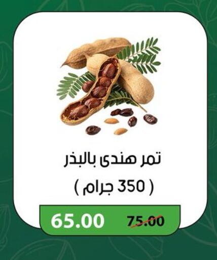 available at جيان مصر in Egypt - القاهرة