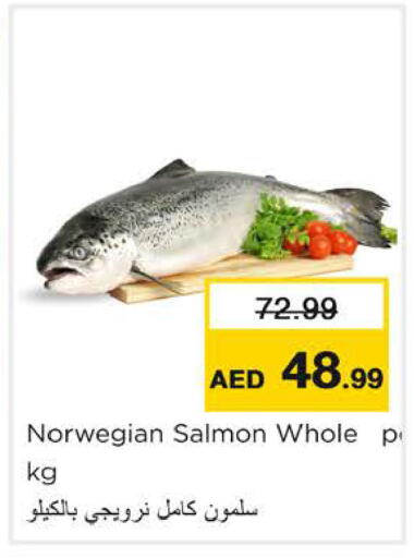 available at Nesto Hypermarket in UAE - Ras al Khaimah