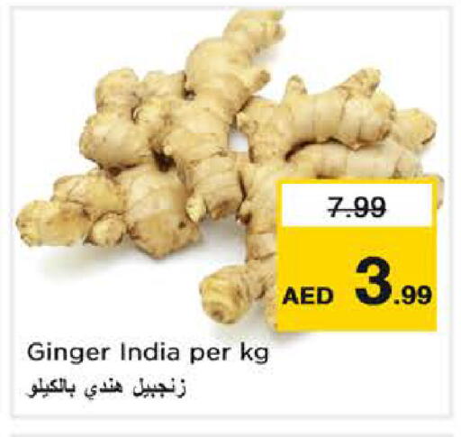 Ginger from India available at نستو هايبرماركت in الإمارات العربية المتحدة , الامارات - دبي