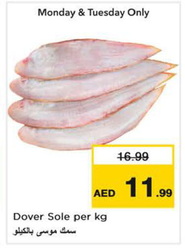 available at نستو هايبرماركت in الإمارات العربية المتحدة , الامارات - الشارقة / عجمان