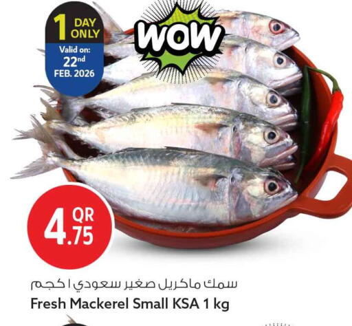 available at سفاري هايبر ماركت in قطر - الوكرة