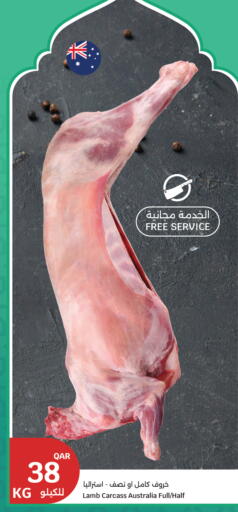 available at سيتي هايبرماركت in قطر - الشحانية