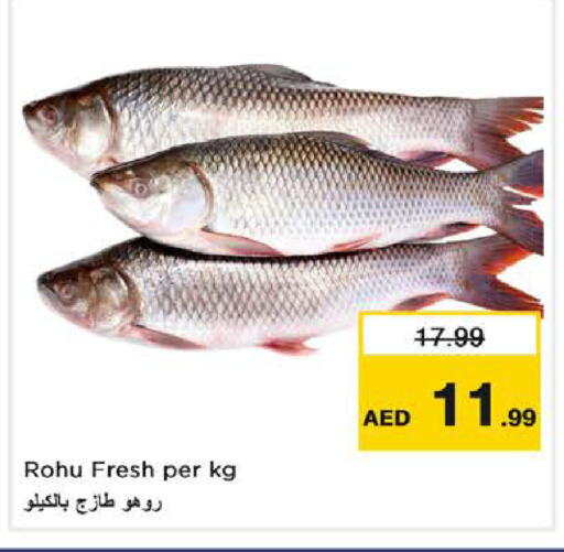 available at نستو هايبرماركت in الإمارات العربية المتحدة , الامارات - دبي