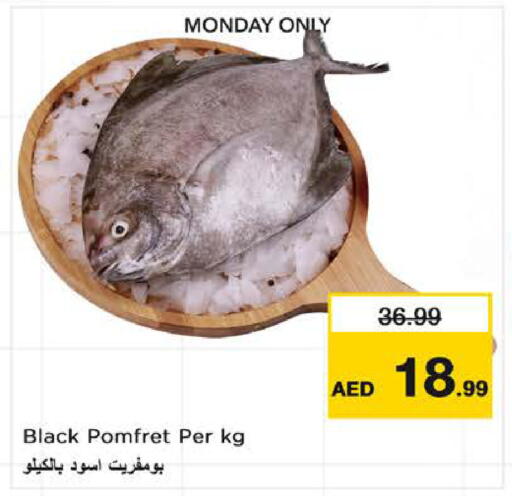 available at Nesto Hypermarket in UAE - Sharjah / Ajman