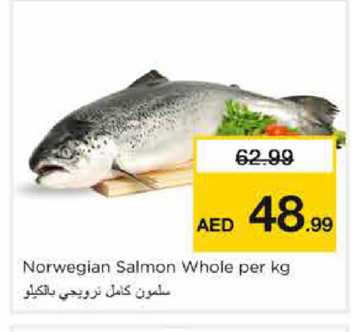 available at نستو هايبرماركت in الإمارات العربية المتحدة , الامارات - الشارقة / عجمان