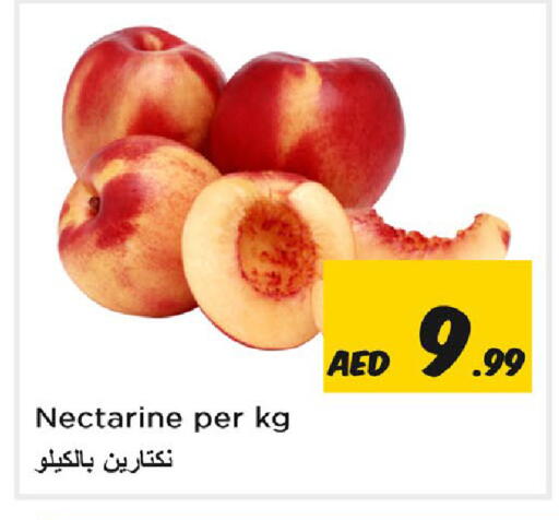 Nectarine available at نستو هايبرماركت in الإمارات العربية المتحدة , الامارات - الشارقة / عجمان