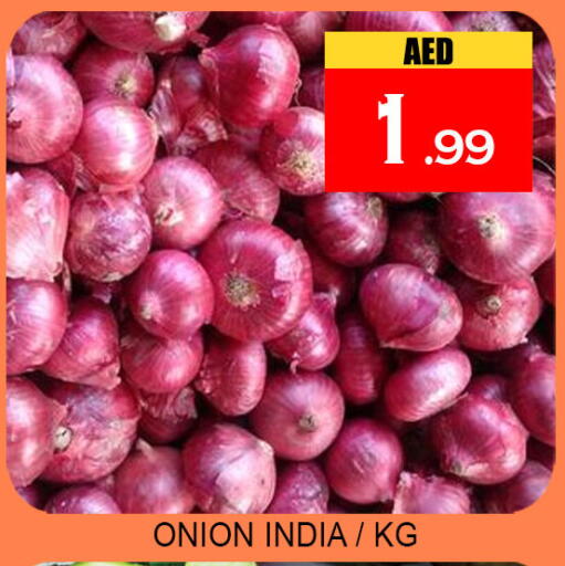Onion from India available at لكي سنتر in الإمارات العربية المتحدة , الامارات - الشارقة / عجمان