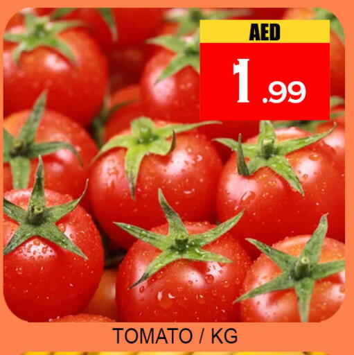Tomato available at Lucky Center in UAE - Sharjah / Ajman