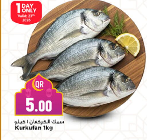 available at Marza Hypermarket in Qatar - Al Wakra