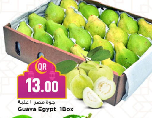 Guava from Egypt available at مرزا هايبرماركت in قطر - الشحانية