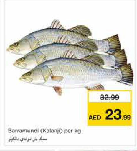 available at نستو هايبرماركت in الإمارات العربية المتحدة , الامارات - الشارقة / عجمان